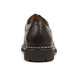03 - CATALPA - HESCHUNG  -  - Cuir