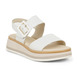 02 - GATOMI - GABOR -  - Cuir